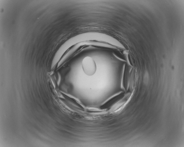 X0000081560190200702051158