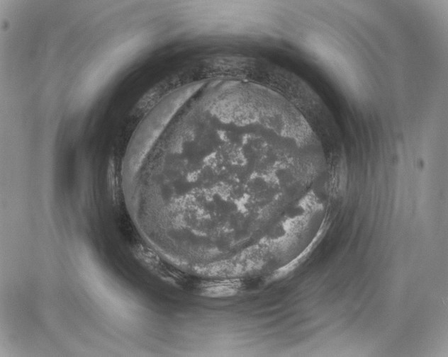 X0000081560191200702051158