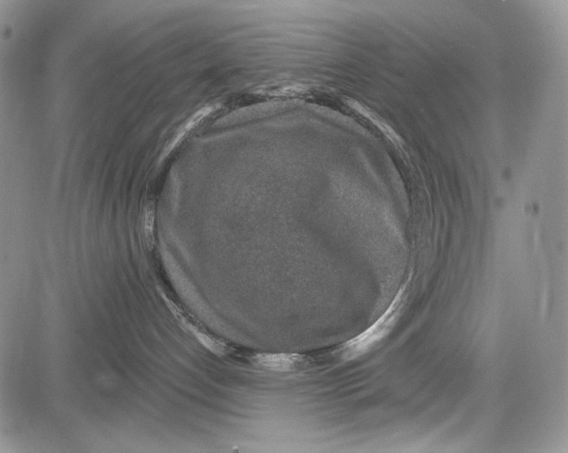 X0000081560192200702051158