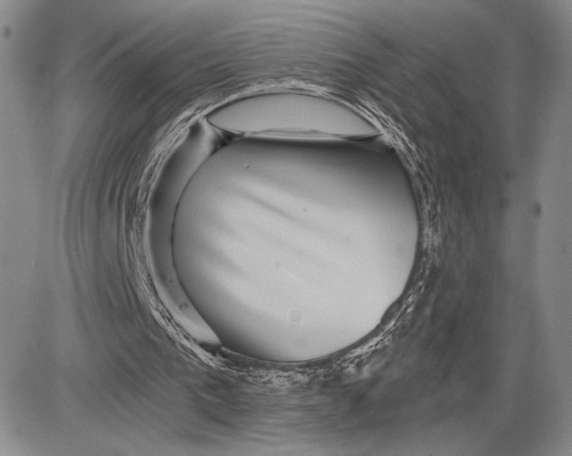 X0000081560193200702051158