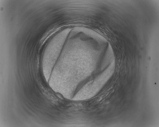 X0000081560194200702051158