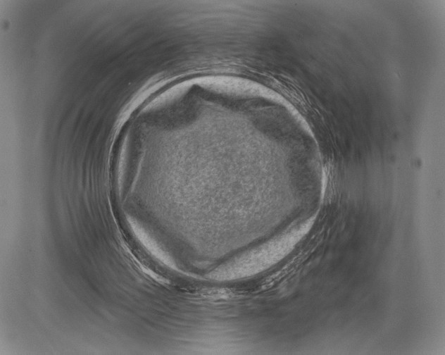 X0000081560195200702051158