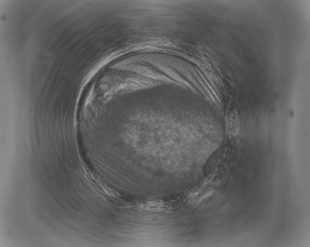 X0000081560196200702051158