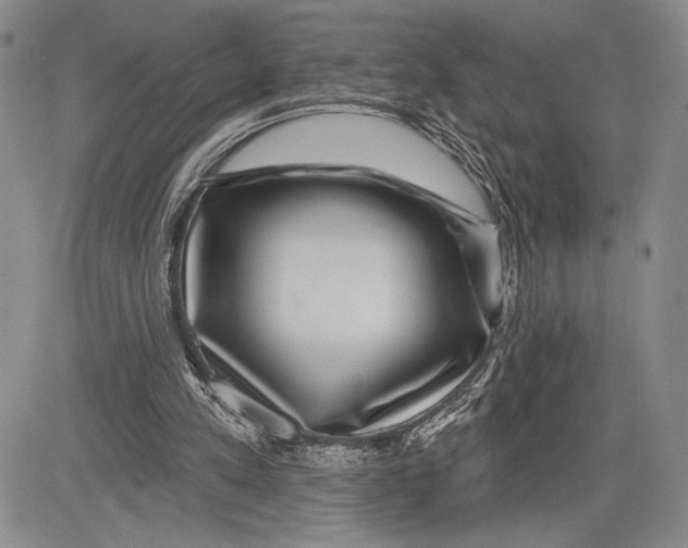 X0000081560197200702051157