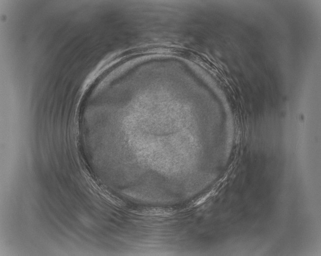 X0000081560198200702051157