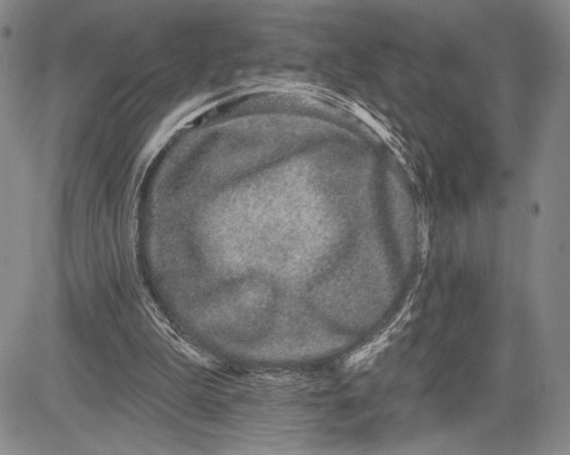 X0000081560199200702051157