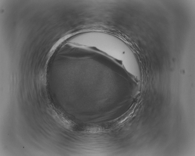 X0000081560200200702051157