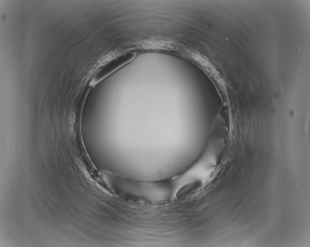 X0000081560201200702051157