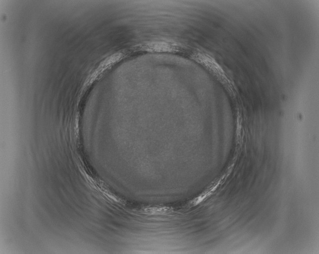 X0000081560202200702051157