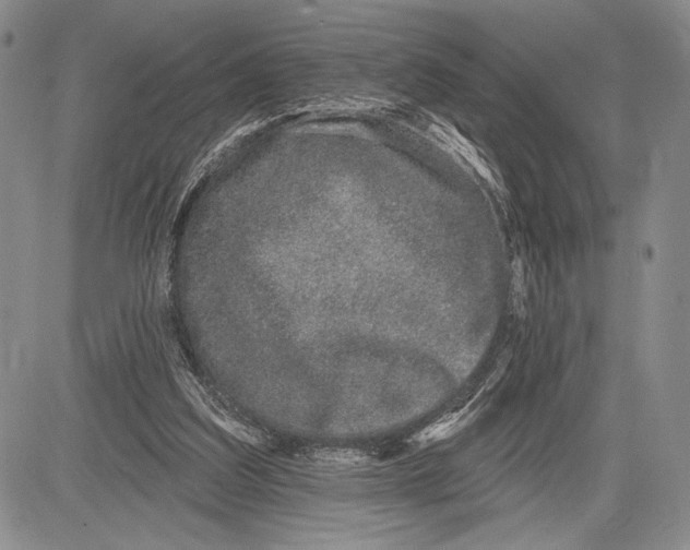 X0000081560203200702051157