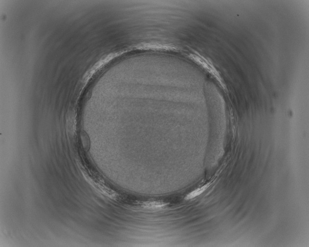 X0000081560204200702051157