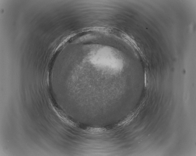 X0000081560205200702051157