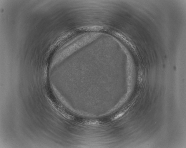 X0000081560206200702051157