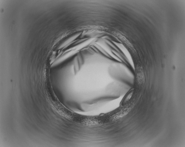 X0000081560207200702051157