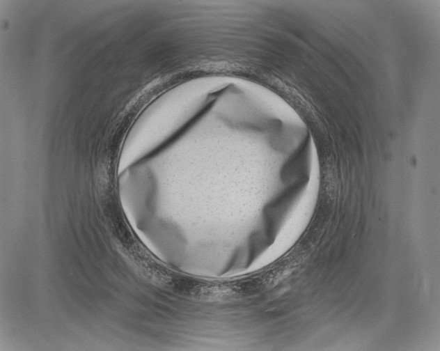 X0000081560208200702051157