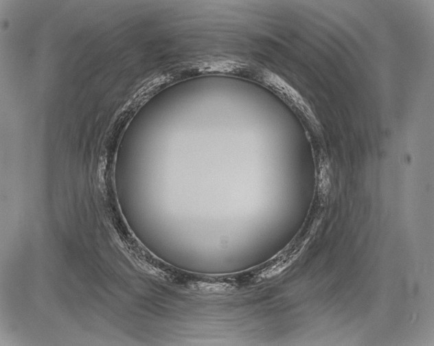 X0000081560209200702051157