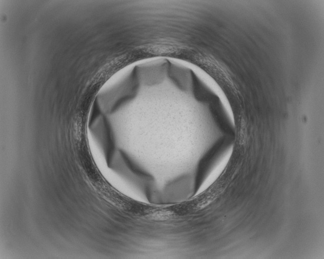 X0000081560210200702051157