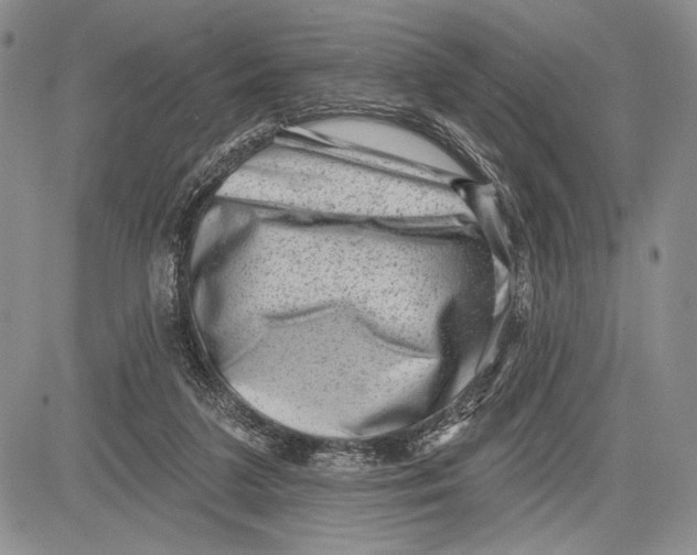 X0000081560211200702051157