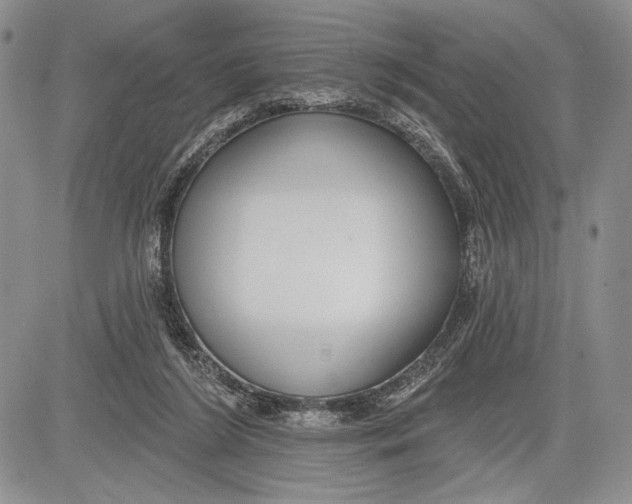 X0000081560212200702051157