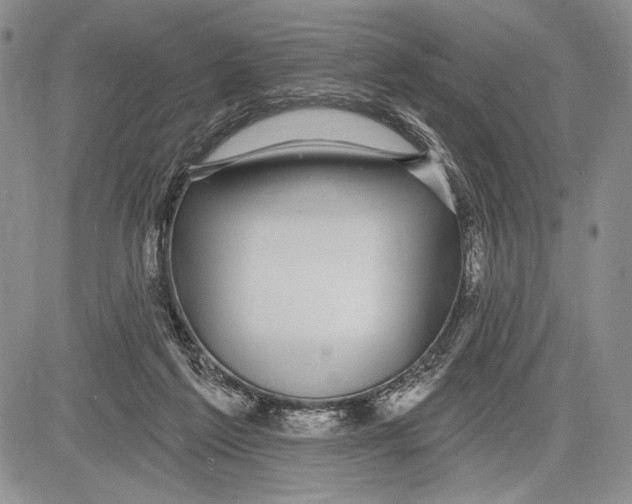 X0000081560213200702051157