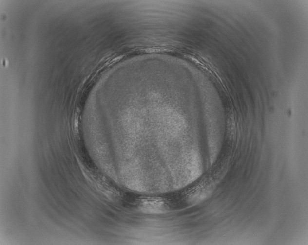 X0000081560214200702051157