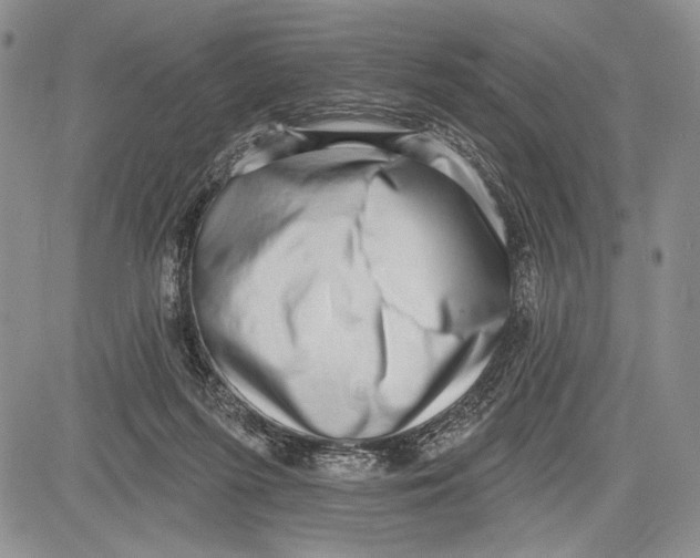 X0000081560215200702051157