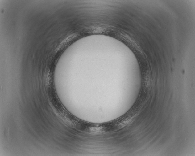 X0000081560216200702051157