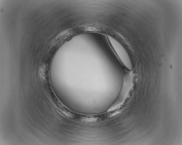 X0000081560217200702051157