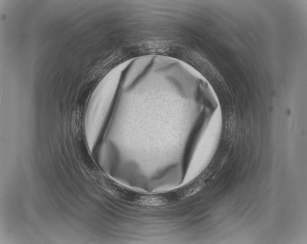 X0000081560218200702051157