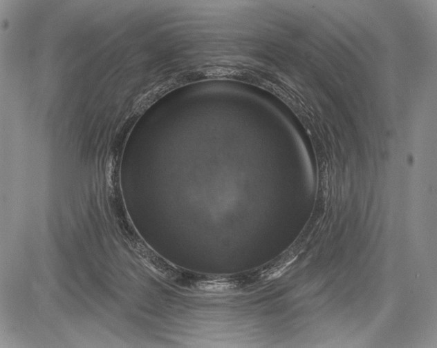 X0000081560219200702051157