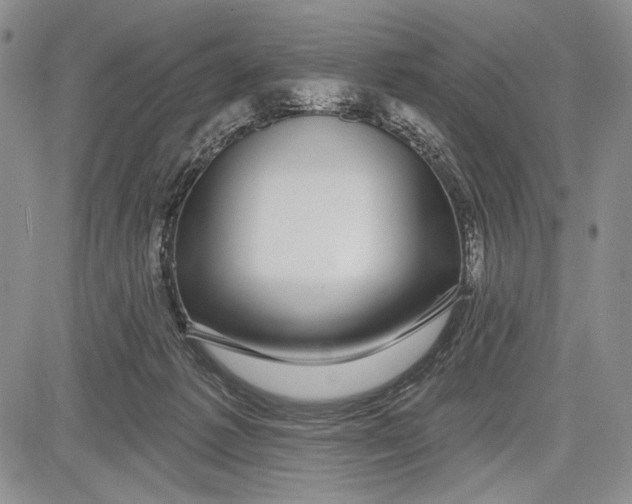 X0000081560221200702051157