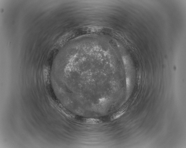 X0000081560222200702051157