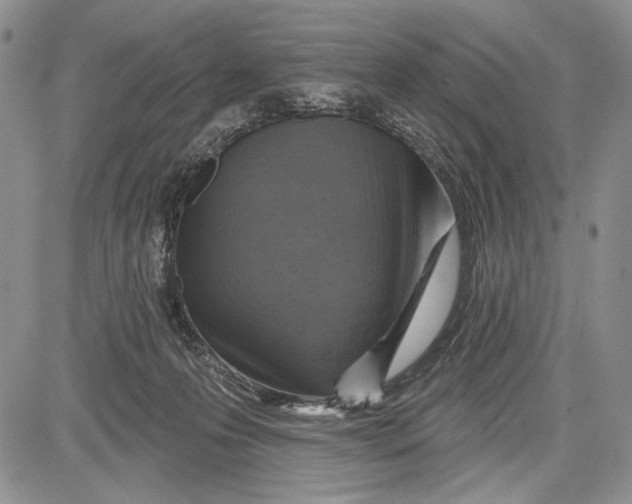 X0000081560223200702051157