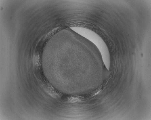 X0000081560224200702051157