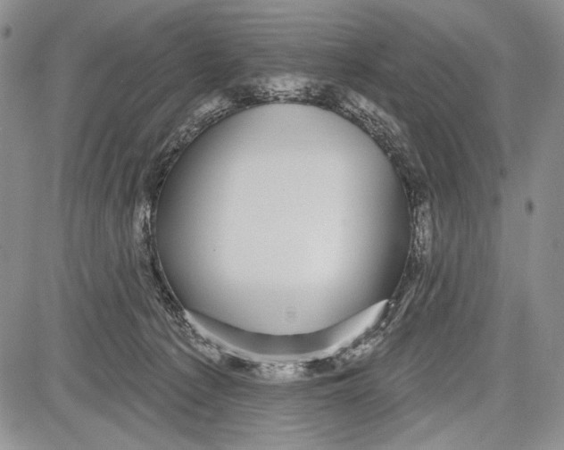 X0000081560225200702051157