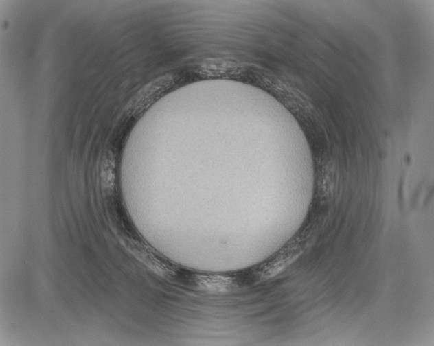 X0000081560226200702051157