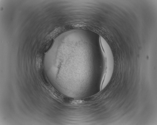 X0000081560227200702051157