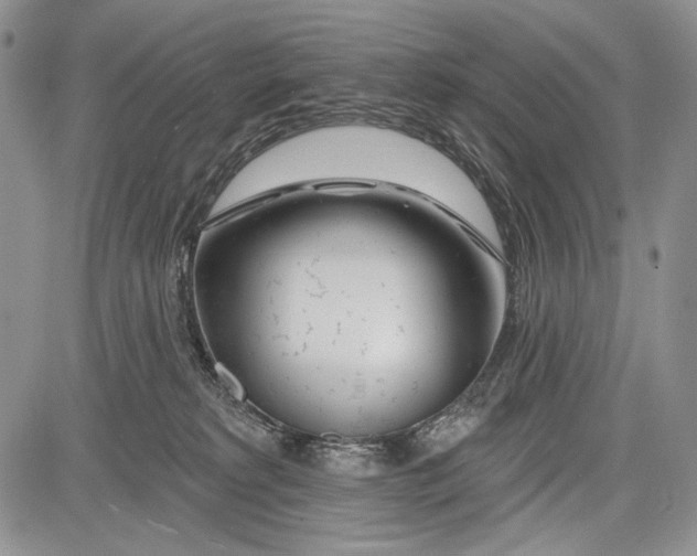 X0000081560229200702051157