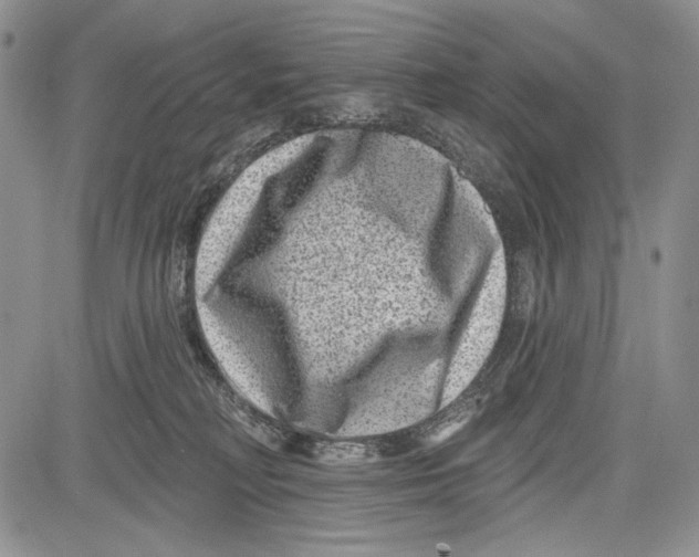 X0000081560230200702051157