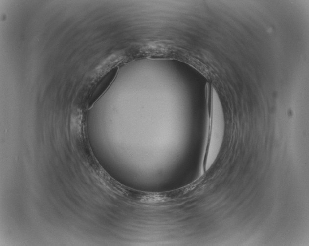 X0000081560231200702051157