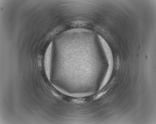 X0000081560232200702051157