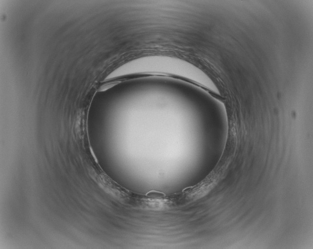 X0000081560233200702051157