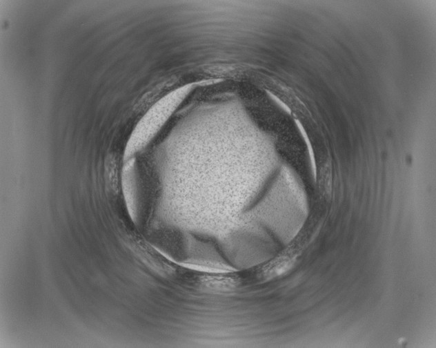 X0000081560234200702051157