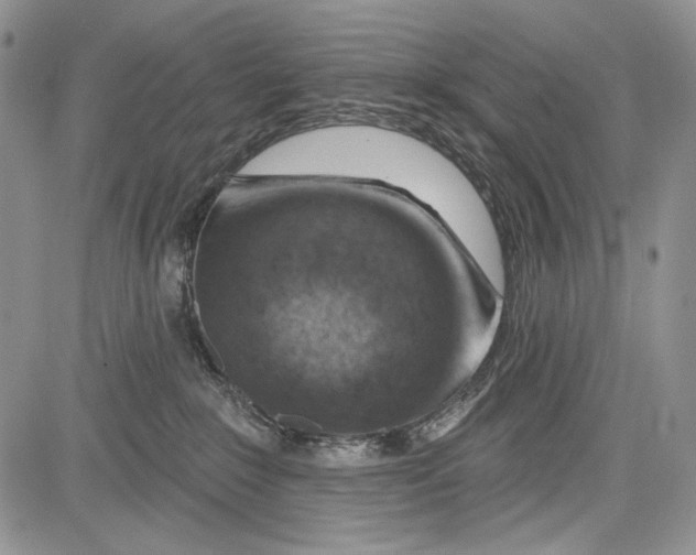 X0000081560235200702051157