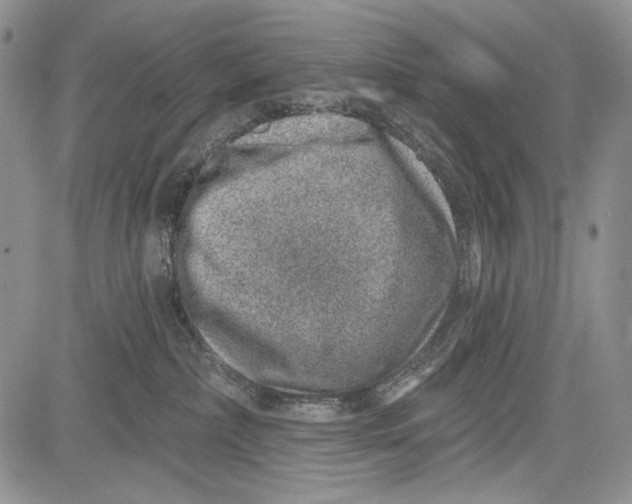 X0000081560236200702051157