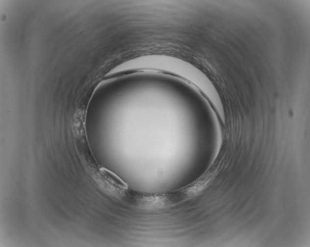 X0000081560237200702051157