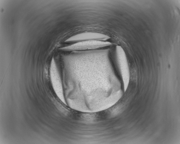 X0000081560238200702051157