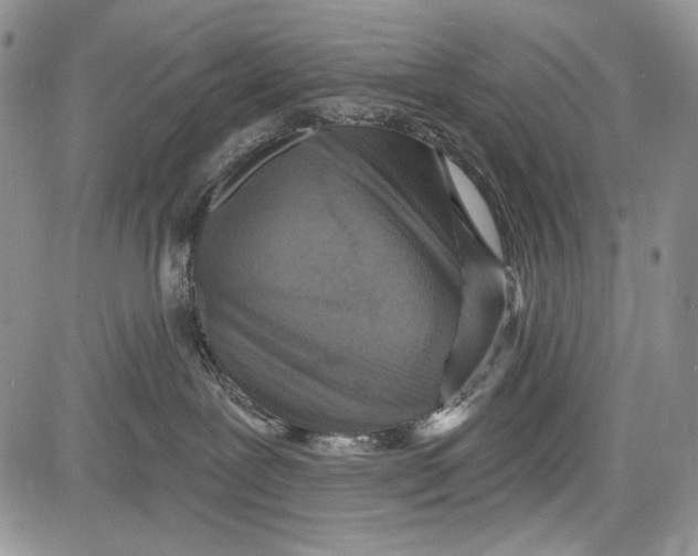 X0000081560239200702051157