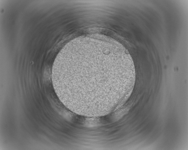 X0000081560240200702051157