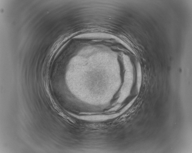 X0000081560241200702051156